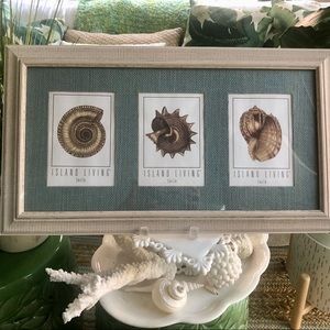 New! Island Living Jade Matted Photo Frame